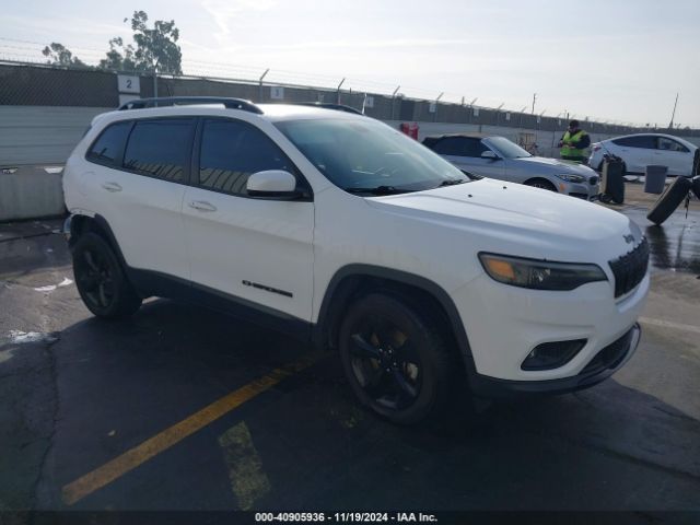 jeep cherokee 2019 1c4pjmlnxkd295243