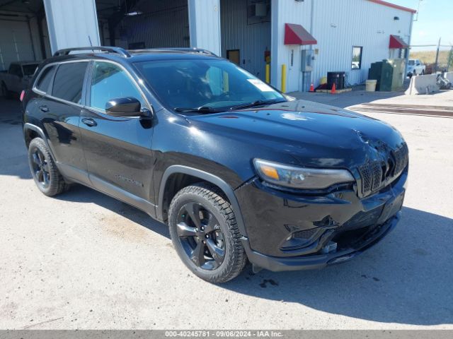 jeep cherokee 2019 1c4pjmlnxkd295520