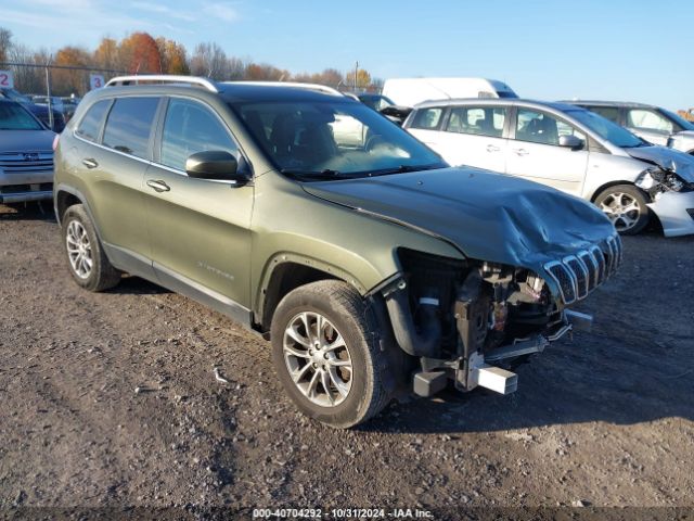 jeep cherokee 2019 1c4pjmlx0kd219161