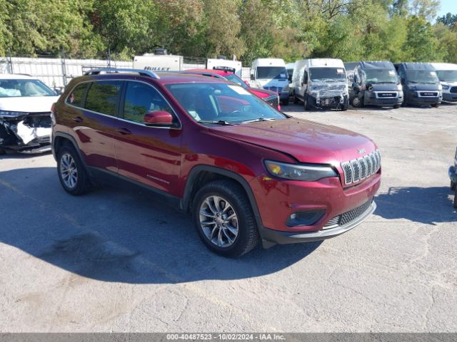 jeep cherokee 2019 1c4pjmlx0kd223646