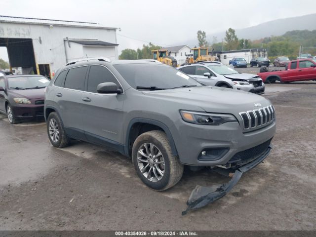 jeep cherokee 2019 1c4pjmlx0kd376334