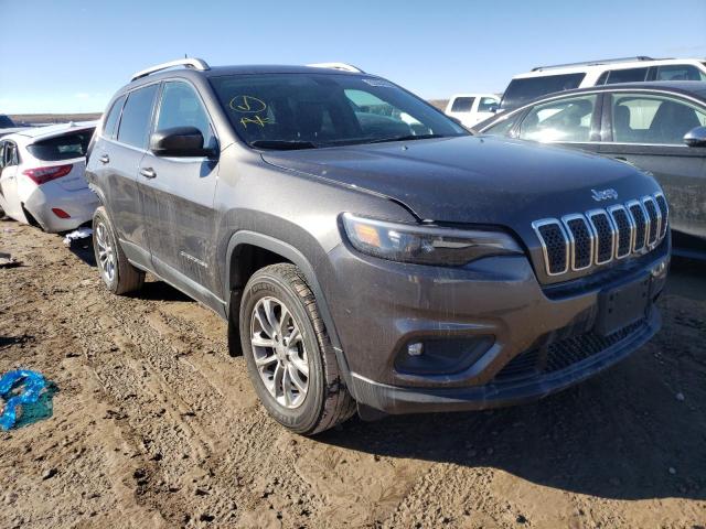 jeep cherokee l 2019 1c4pjmlx1kd231769