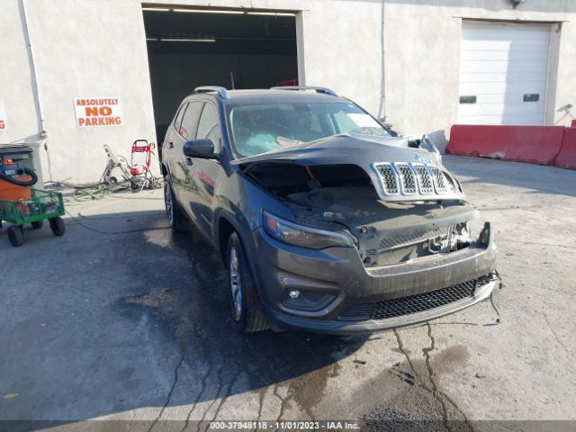 jeep cherokee 2019 1c4pjmlxxkd245802