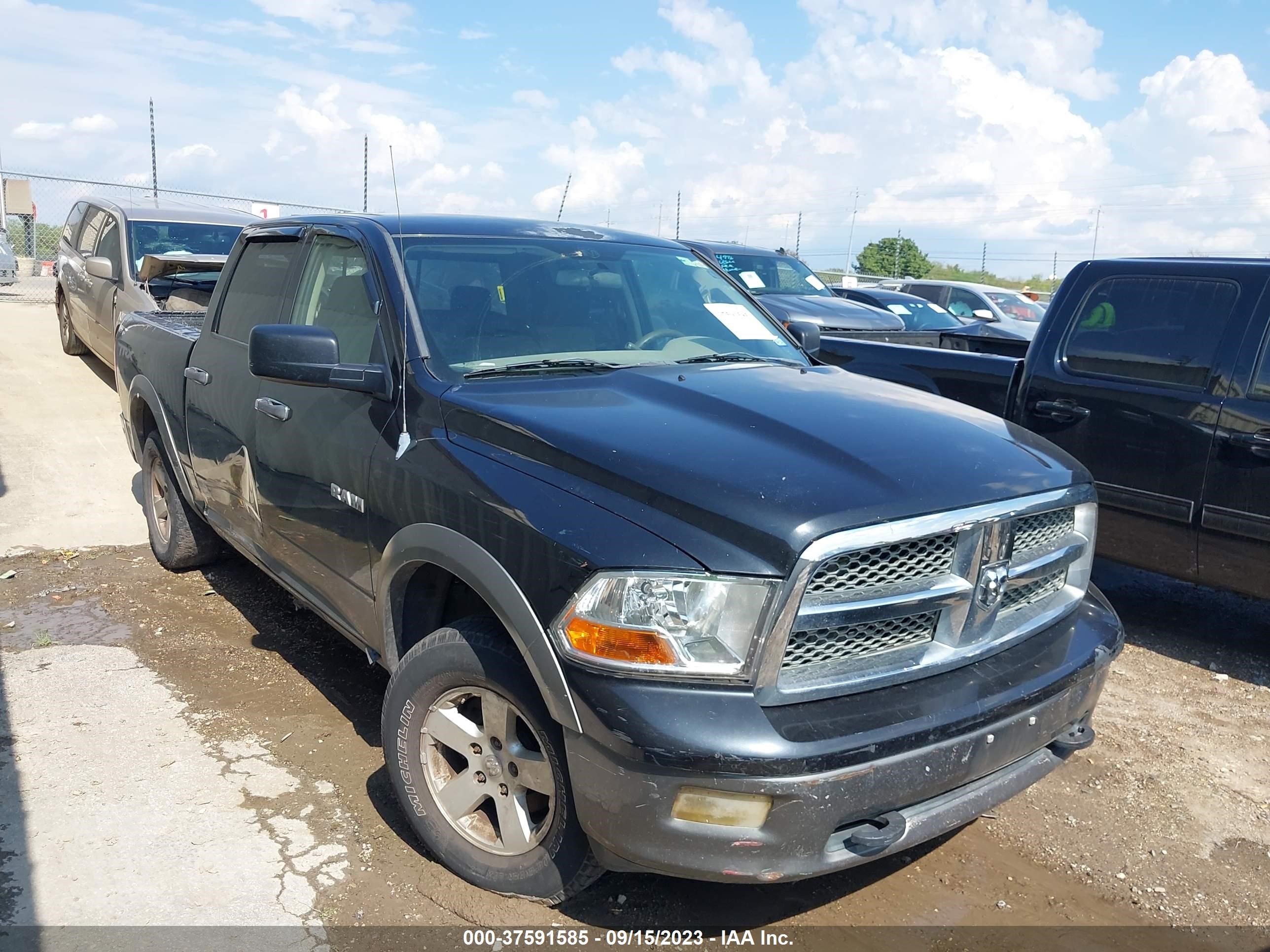 dodge ram 2009 1d3hb13p79s752556