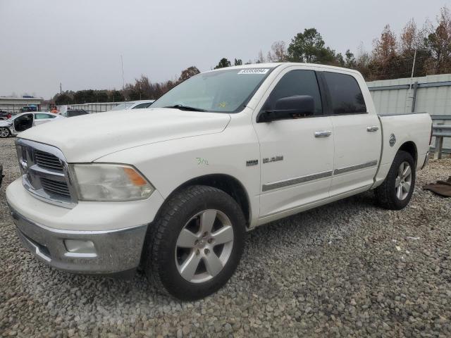 dodge ram 1500 2009 1d3hb13t89s771968