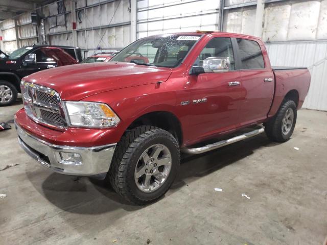 dodge all models 2009 1d3hv13t09j504370