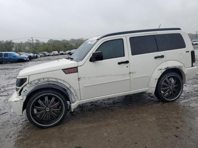 dodge nitro sxt 2010 1d4pu5gk1aw141099