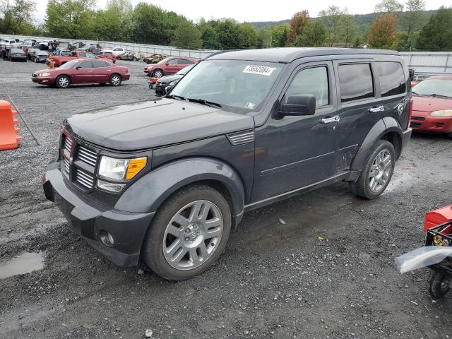 dodge nitro sxt 2010 1d4pu5gk6aw134794