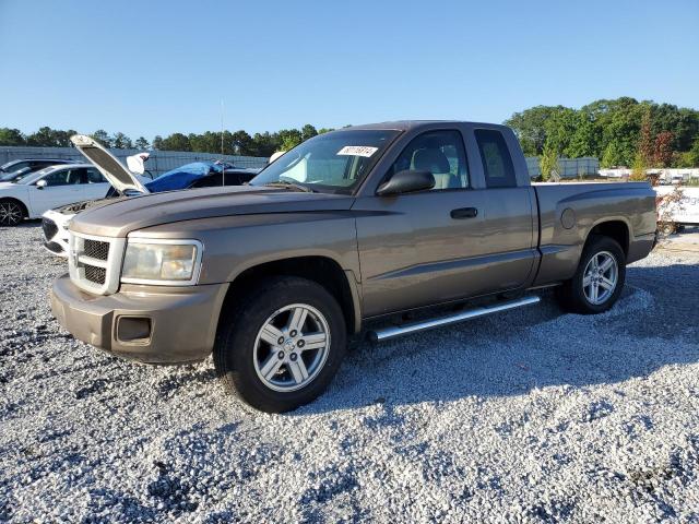 dodge dakota 2010 1d7ce3bk2as107111