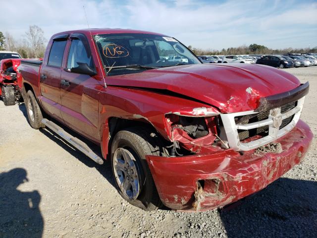 dodge dakota sxt 2010 1d7ce3gk2as118019