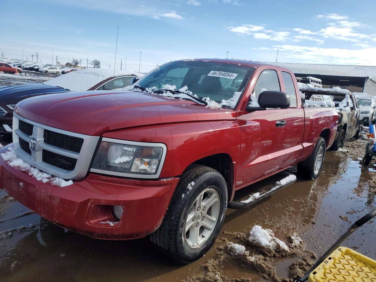 dodge dakota 2010 1d7cw3bk2as143538