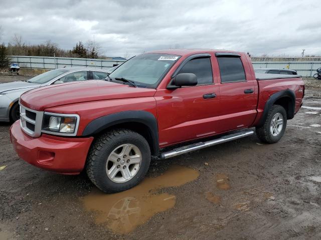 dodge dakota 2010 1d7cw3gk5as189079