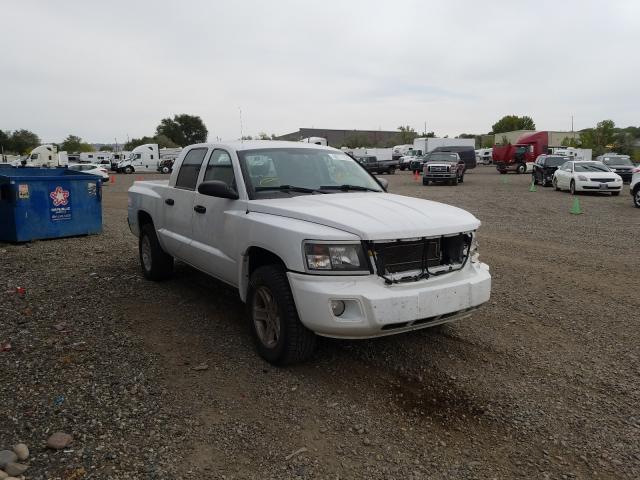 dodge dakota sxt 2010 1d7cw3gk7as173174