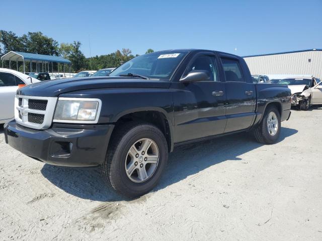 dodge dakota sxt 2010 1d7cw3gkxas173234