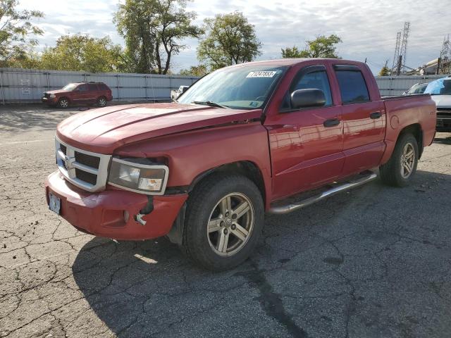 dodge dakota 2010 1d7cw3gp1as121275