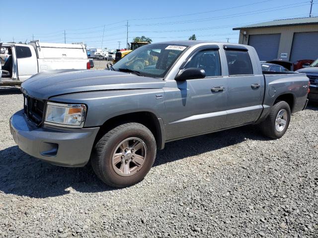 dodge dakota 2010 1d7cw3gp1as166555