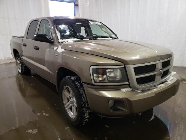 dodge dakota sxt 2010 1d7cw3gp9as264958