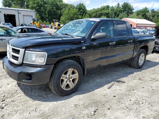 dodge dakota sxt 2010 1d7cw3gpxas175819