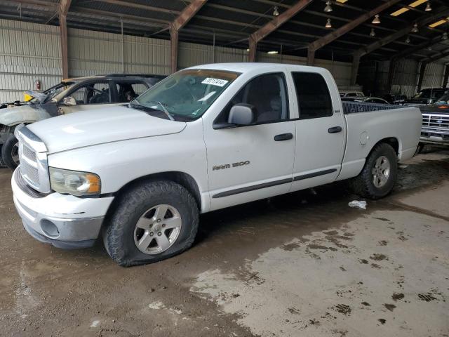 dodge ram 1500 2002 1d7ha18n12s592821