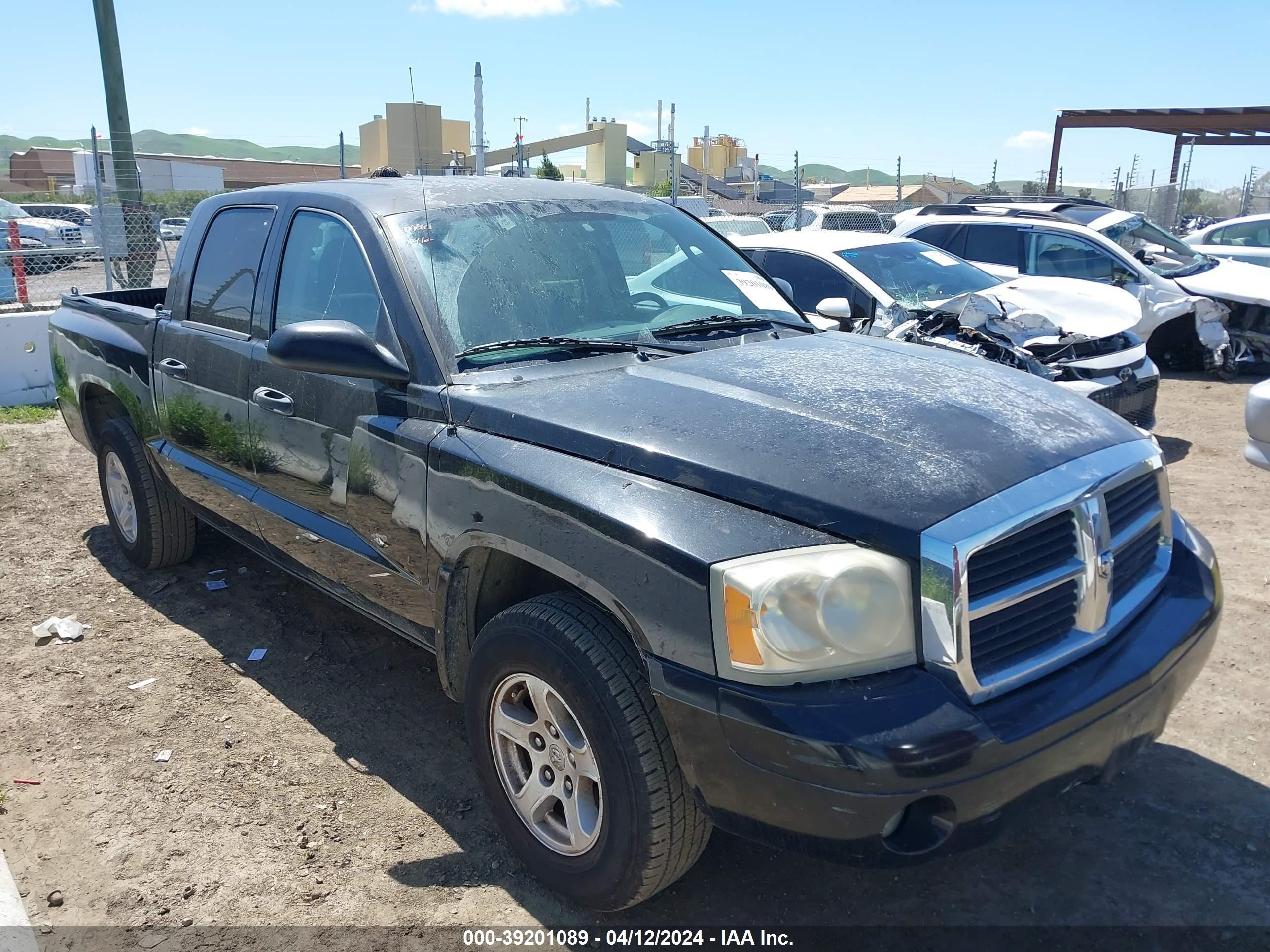 dodge dakota 2006 1d7he48n26s596677