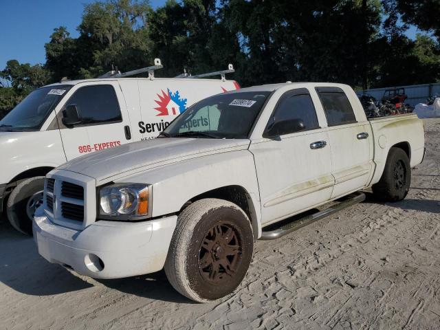 dodge dakota 2006 1d7he48n46s599886