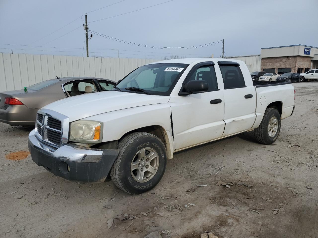 dodge dakota 2005 1d7he48n75s151396