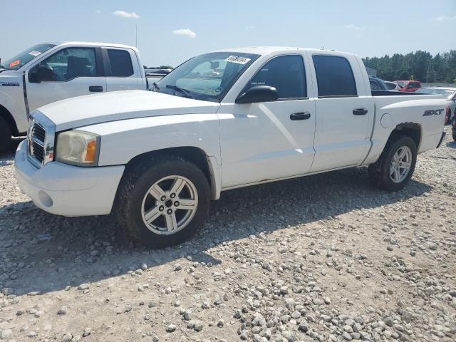 dodge dakota 2007 1d7hw28k17s265257