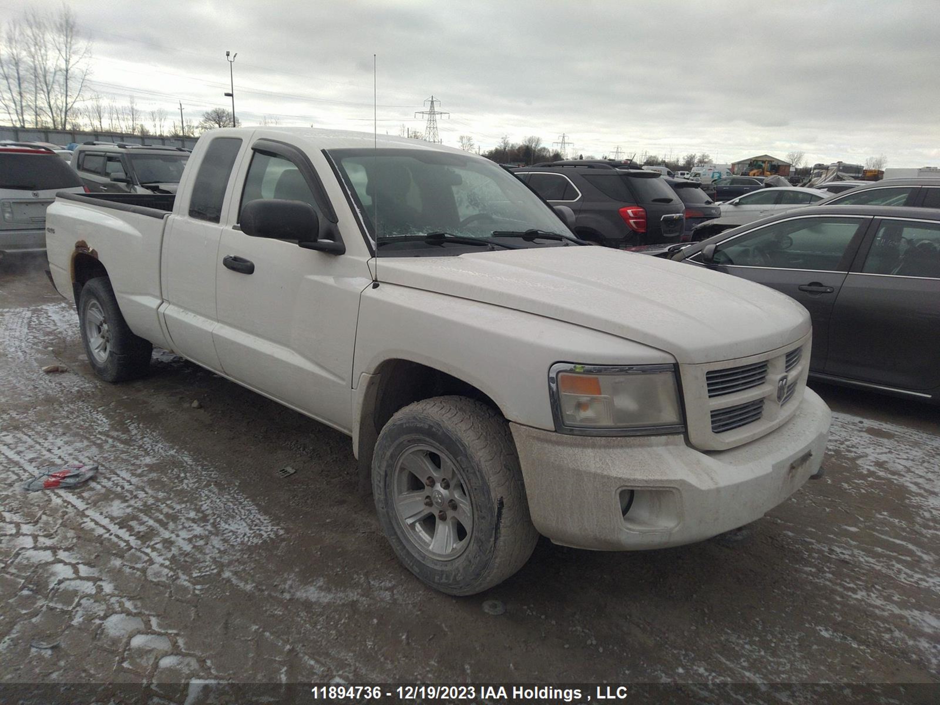 dodge dakota 2009 1d7hw32k09s805070