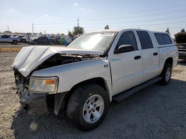 dodge dakota 2009 1d7hw38px9s813034