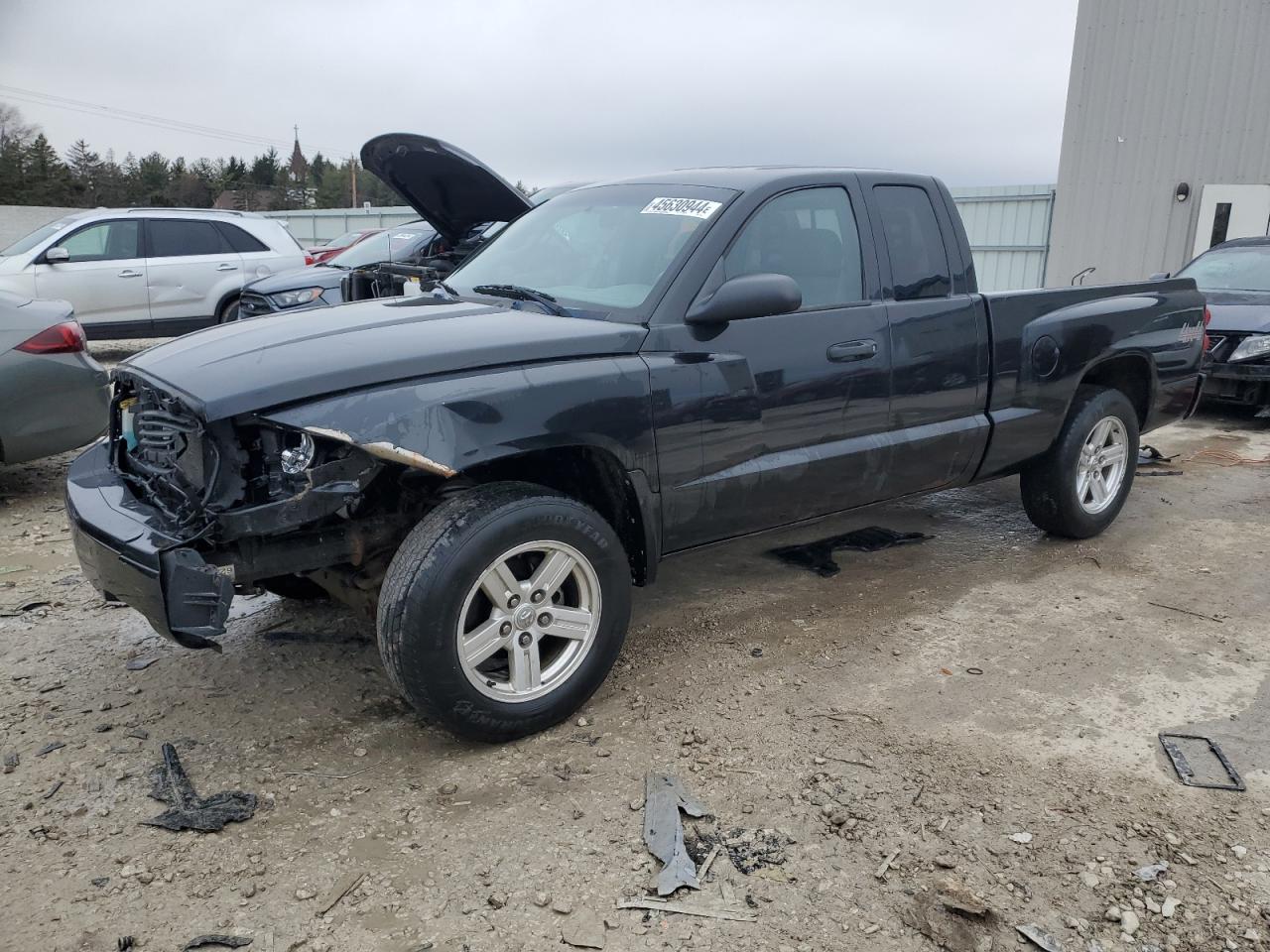 dodge dakota 2007 1d7hw42k57s161102