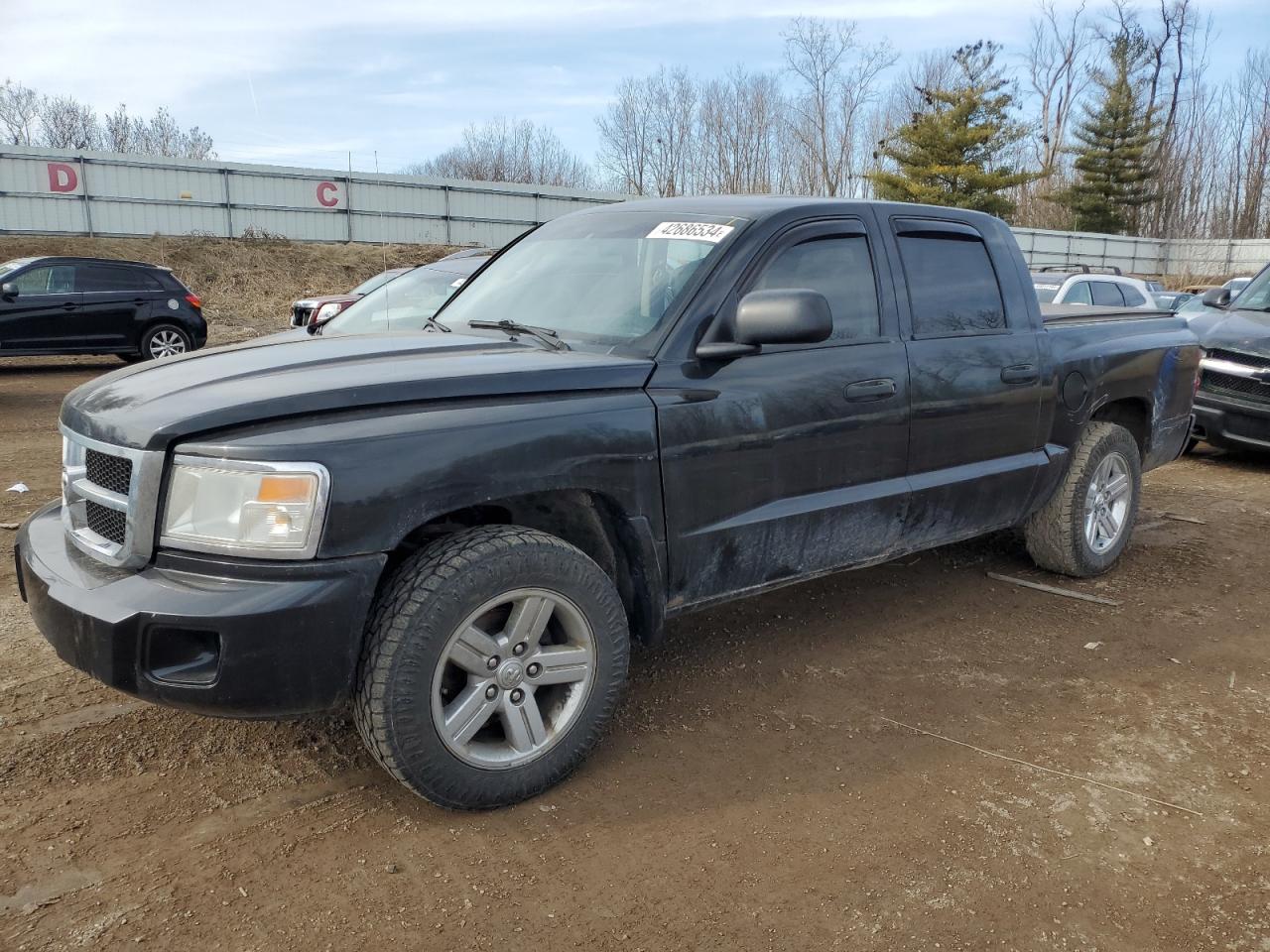 dodge dakota 2008 1d7hw48n18s536518