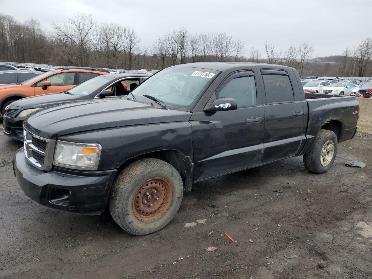 dodge dakota 2008 1d7hw48n38s626611