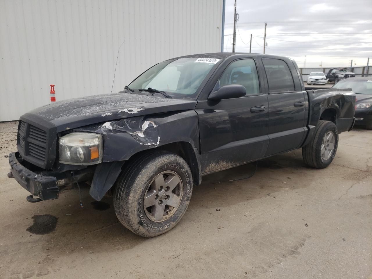 dodge dakota 2006 1d7hw48n46s524201