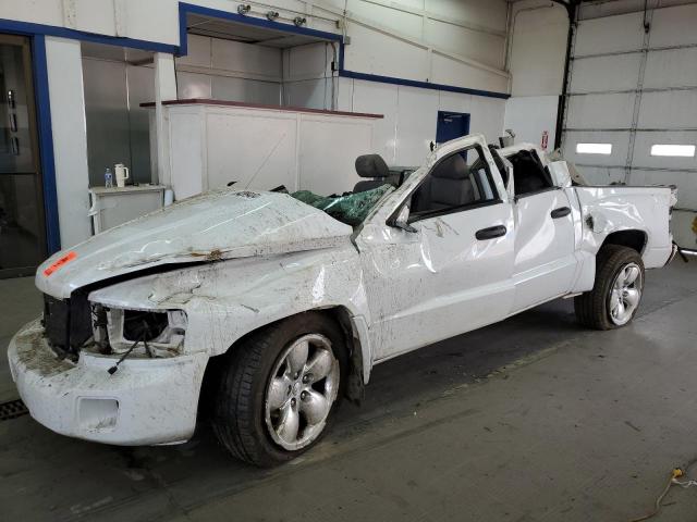 dodge dakota 2008 1d7hw48n48s538909