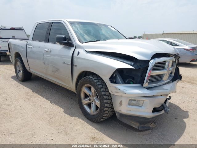 dodge ram 1500 2010 1d7rb1ct1as247939