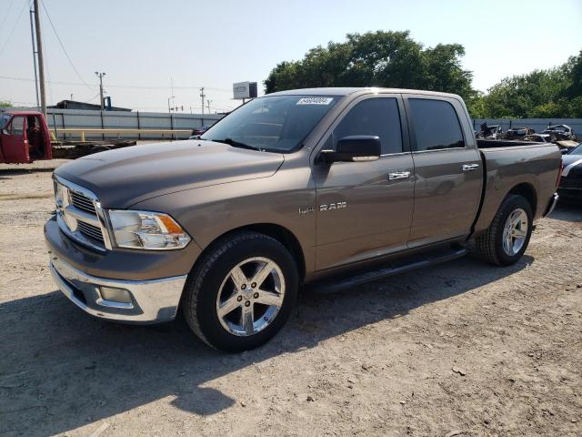 dodge 1500 2010 1d7rb1ct3as162178