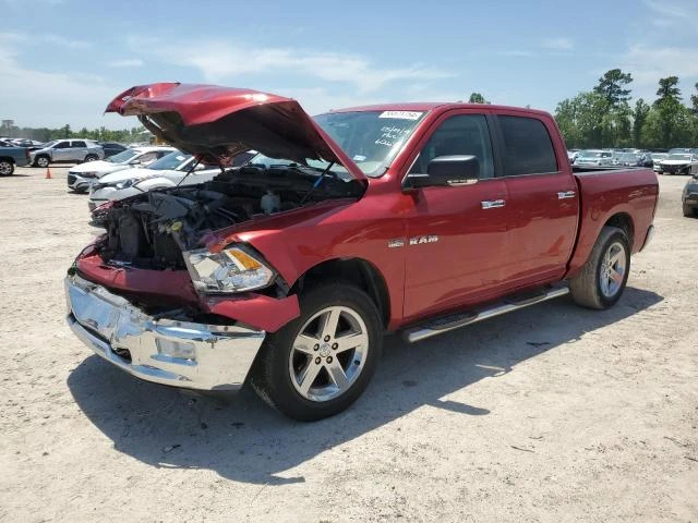 dodge ram 1500 2010 1d7rb1ct4as206267