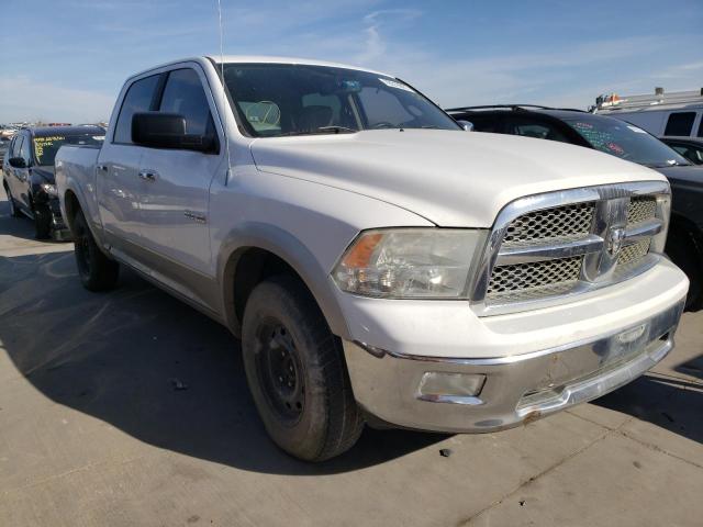 dodge ram 1500 2010 1d7rb1ct5as153479