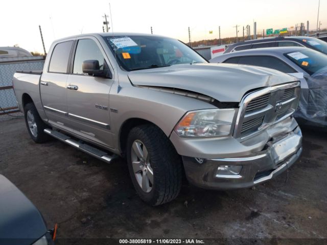 dodge ram 1500 2010 1d7rb1ct8as245556