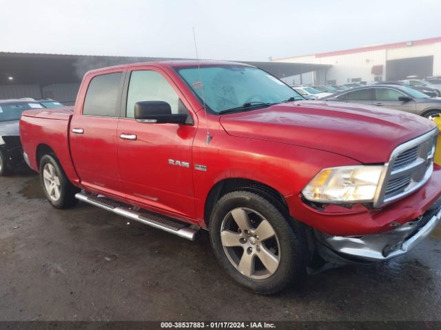 dodge ram 1500 2010 1d7rb1ct9as249843