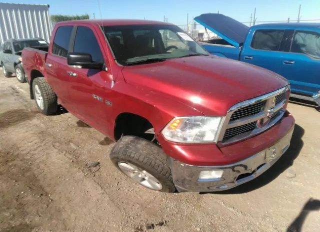 dodge  2010 1d7rb1ct9as249907