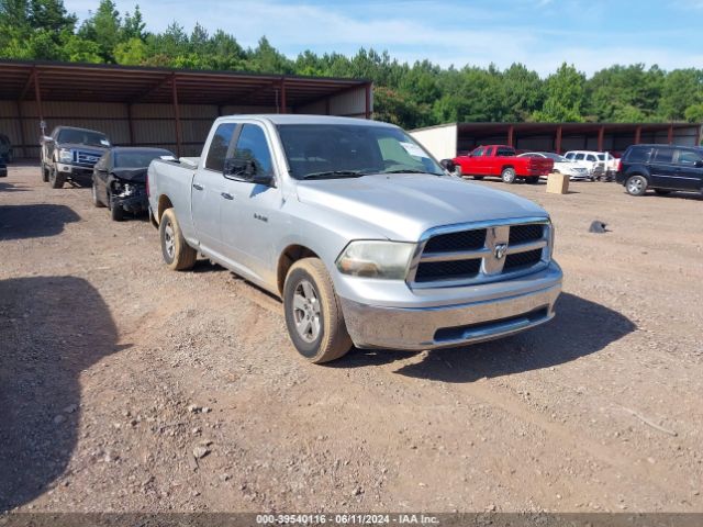 dodge ram 2010 1d7rb1gp3as110952