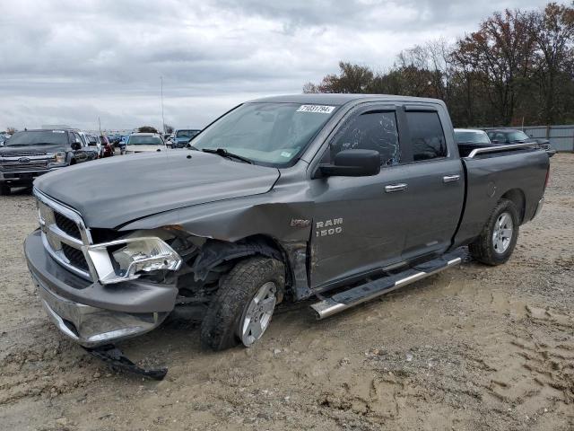 dodge ram 1500 2010 1d7rb1gp7as105026