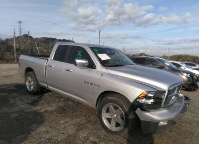 dodge  2010 1d7rb1gt0as148166