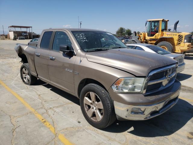 dodge ram 1500 2010 1d7rb1gtxas218238