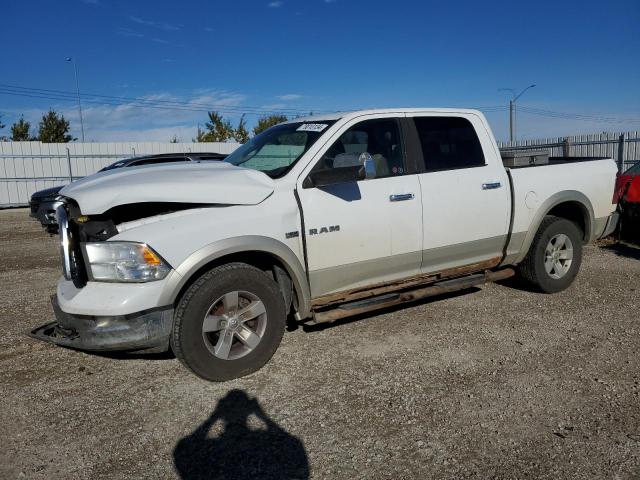 dodge ram 1500 2010 1d7rv1ct0as220089