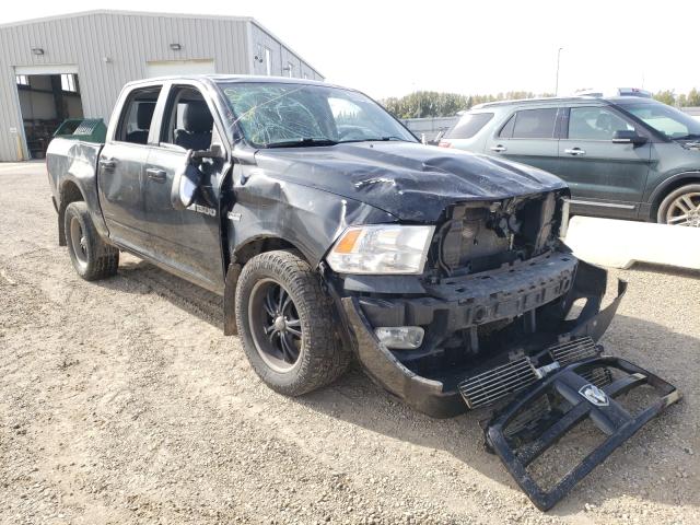 dodge ram 1500 2011 1d7rv1ct2bs581177