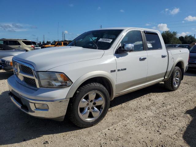 dodge ram 1500 2010 1d7rv1ct5as161248