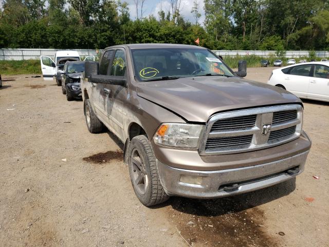 dodge ram 1500 2010 1d7rv1ct9as115115