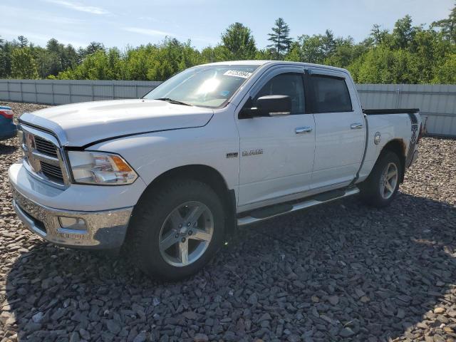 dodge ram 1500 2010 1d7rv1ctxas154148